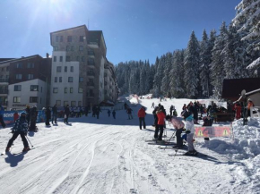 Stenata Huge Ski To Door Apartment Pamporovo
